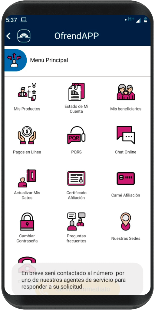 screenshot - La Ofrenda